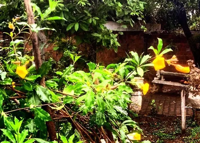 Pousada Pé na Trilha